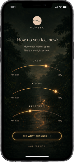 Odysso Journey - After - How do you feel now? Move each marker again - There is no right answer.