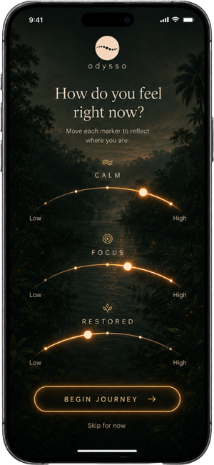 Odysso Journey - Before - How do you feel right now? Move each marker to reflect where you are...